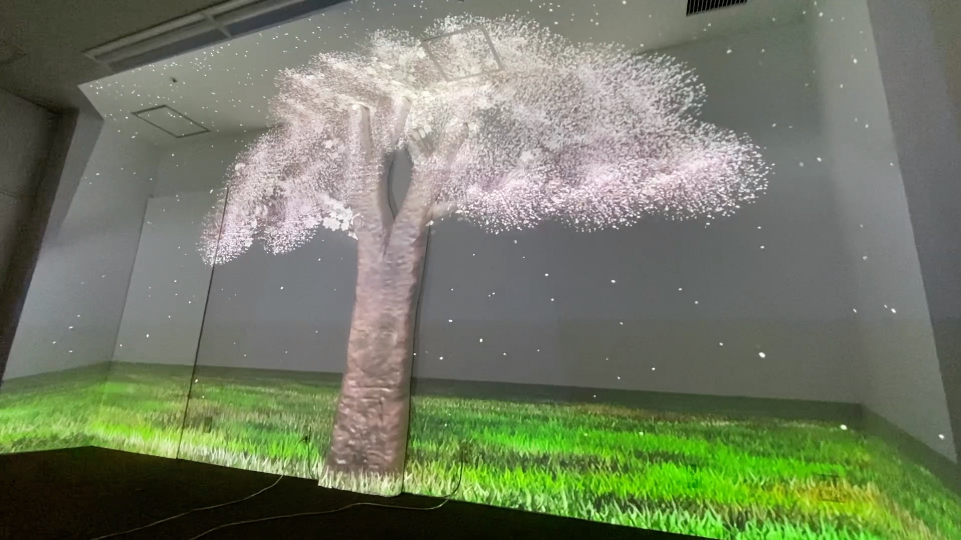 桜のデジタルプロジェクション